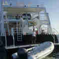 Jardines Avalon III