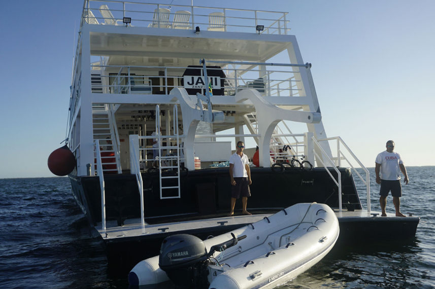 Jardines Avalon III