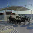 Terraza - Jardines Avalon III