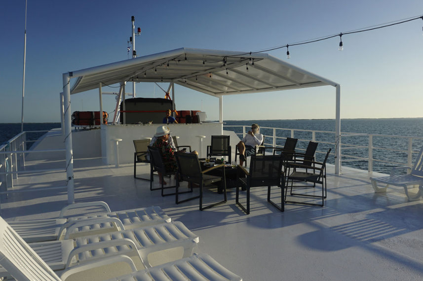 Terraza - Jardines Avalon III