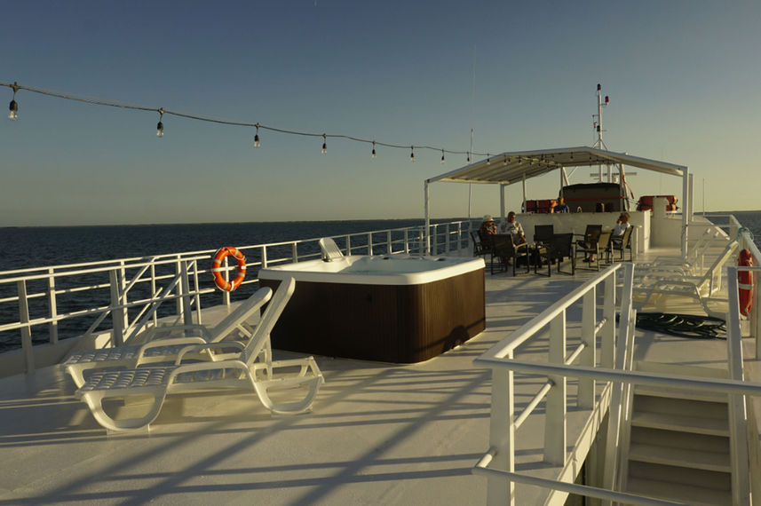 Terraza - Jardines Avalon III