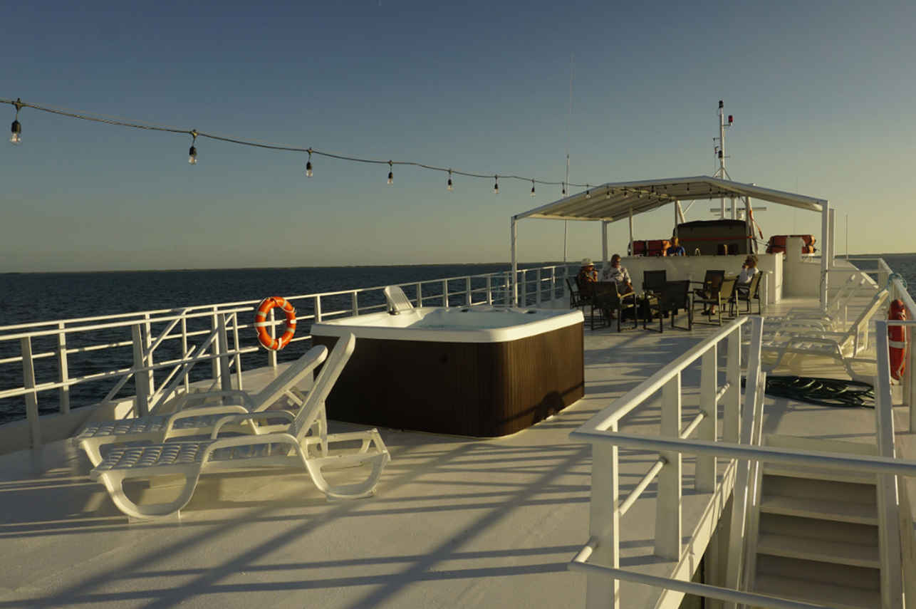 Terraza - Jardines Avalon III