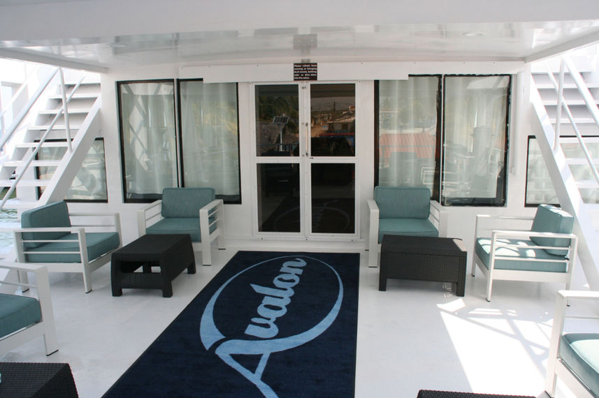 Zona de ocio - Jardines Avalon III