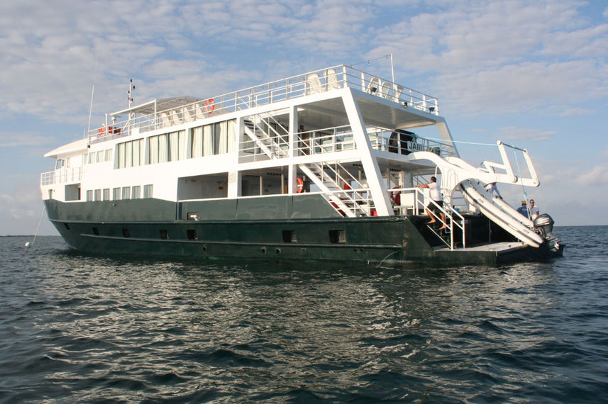 Jardines Avalon III