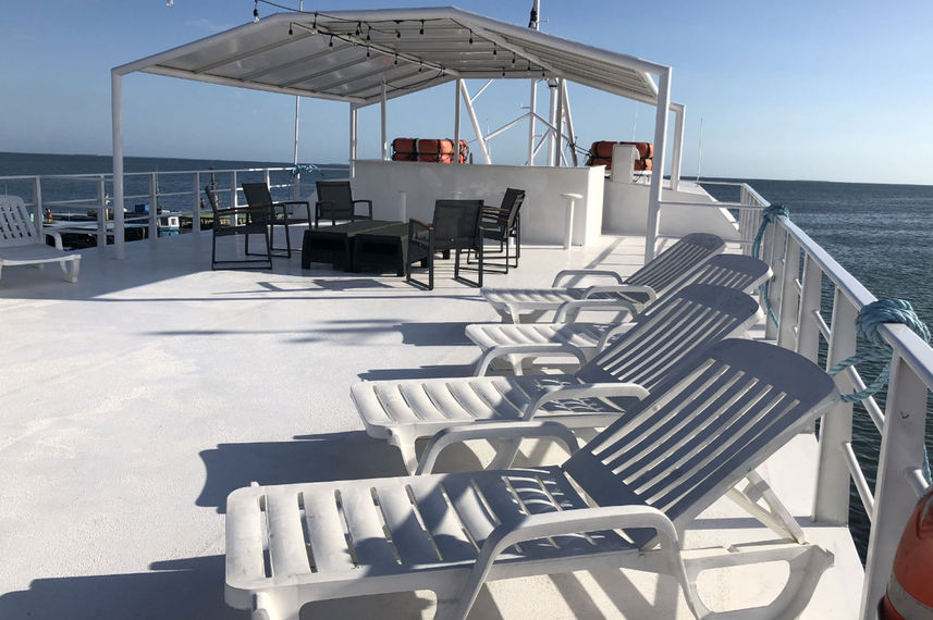 Terraza - Jardines Avalon III