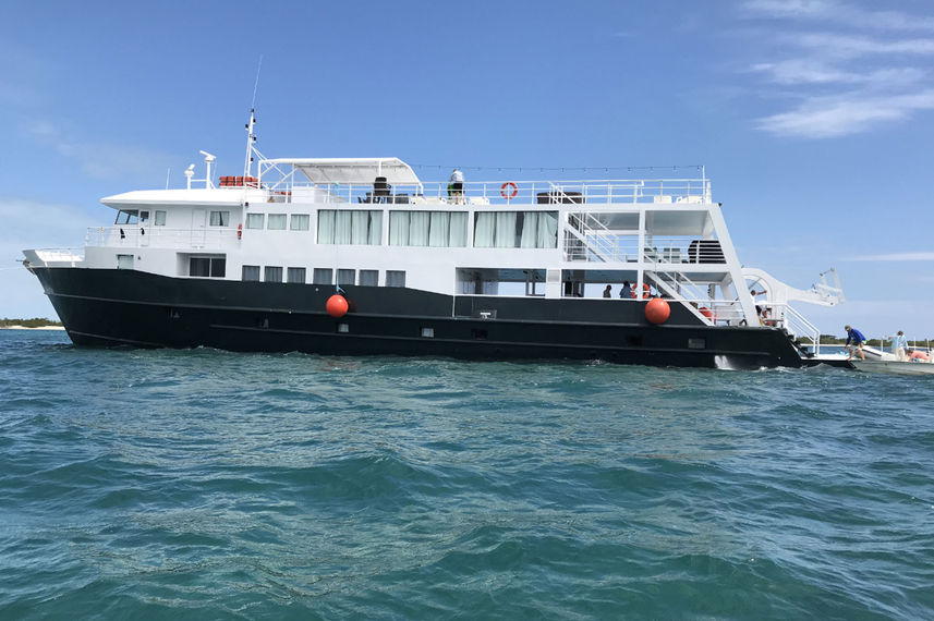 Jardines Avalon III