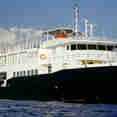 Jardines Avalon III