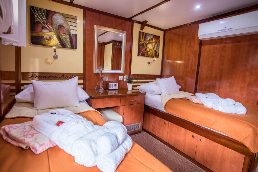 Main Deck Cabin - Princess Aloha