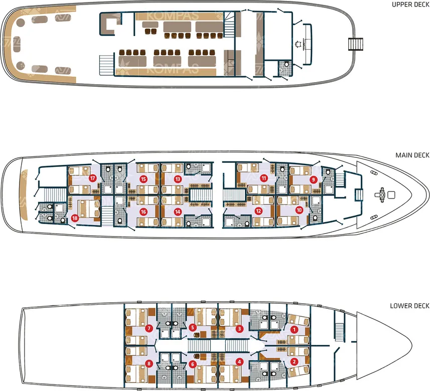 disposizione del ponte