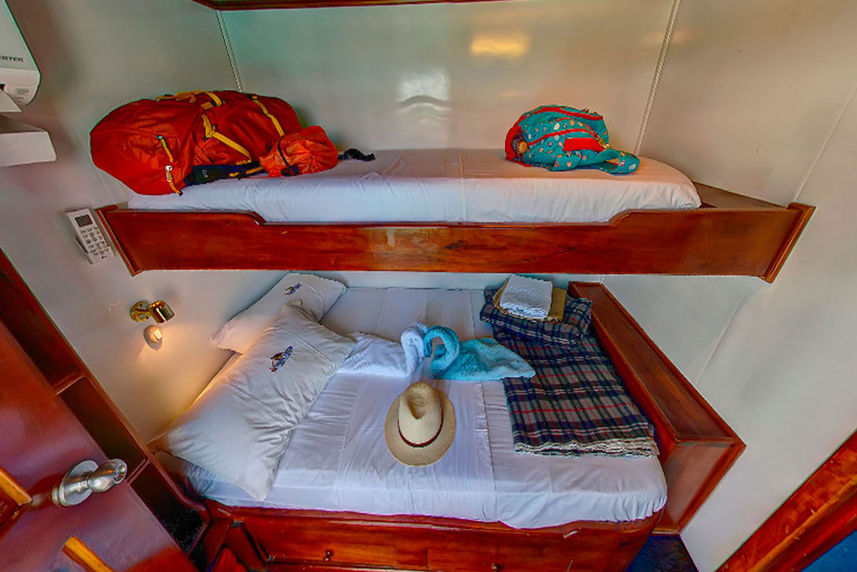 Standard Bunk Cabin - Darwin