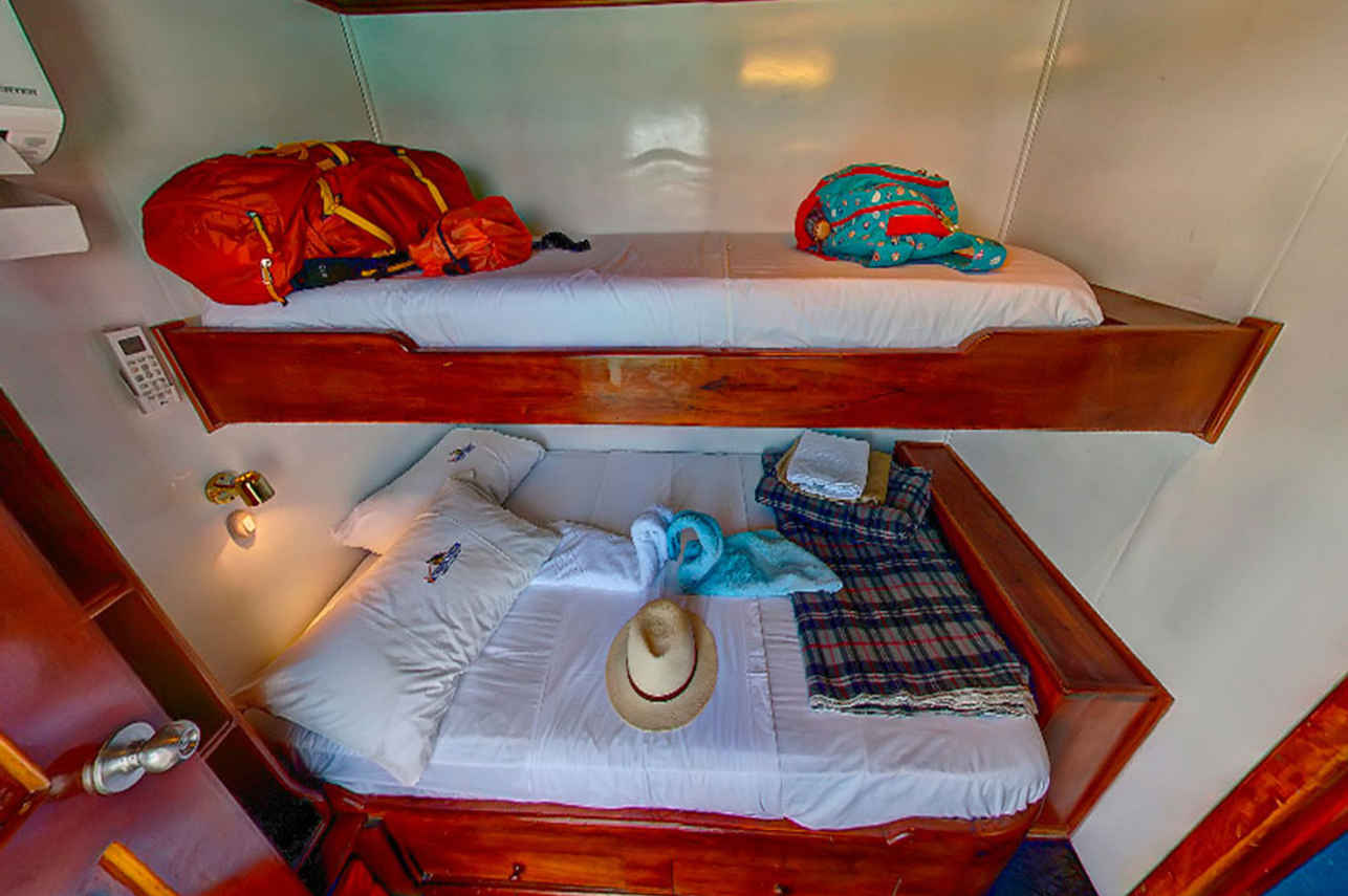 Cabine dortoir  - Darwin
