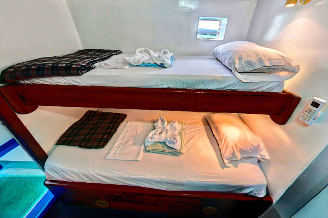 Cabine dortoir  - Darwin