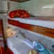 Standard Bunk Cabin - Darwin