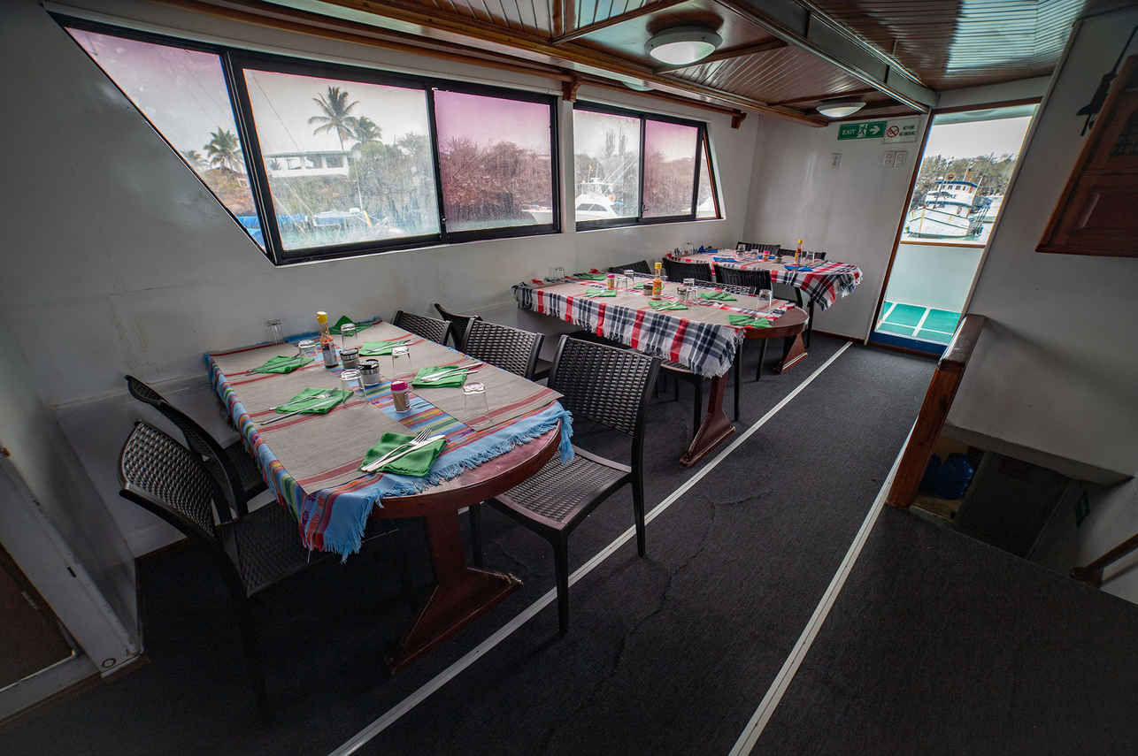 Salle à manger  - Darwin