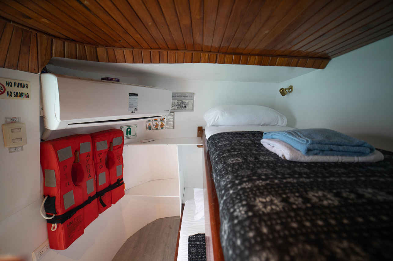 Cabine dortoir  - Darwin