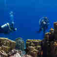 #diving