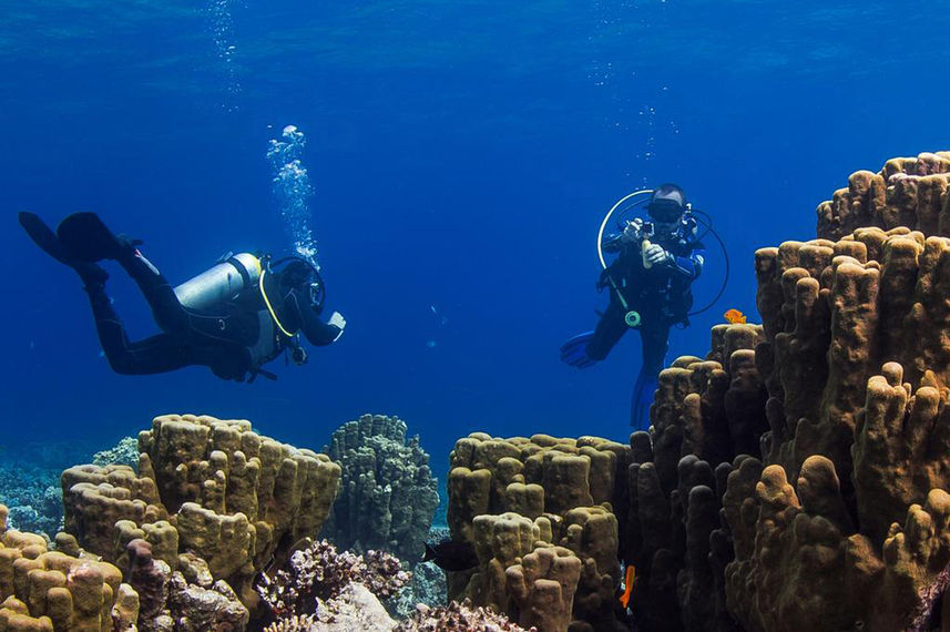 #diving