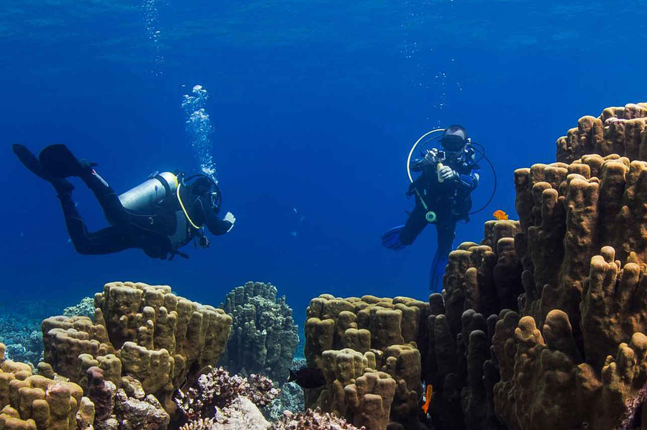 Diving