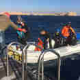 #divetender - Lighthouse Miracle 1