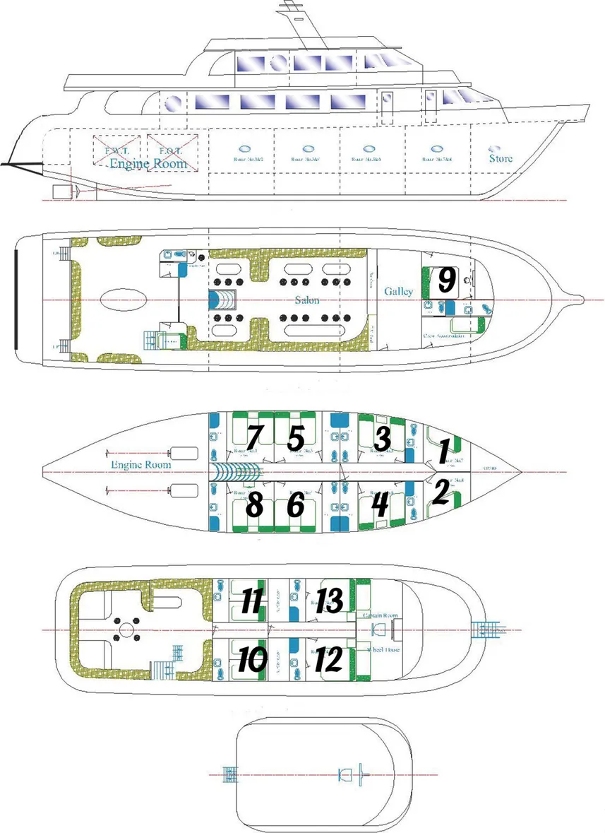 disposizione del ponte