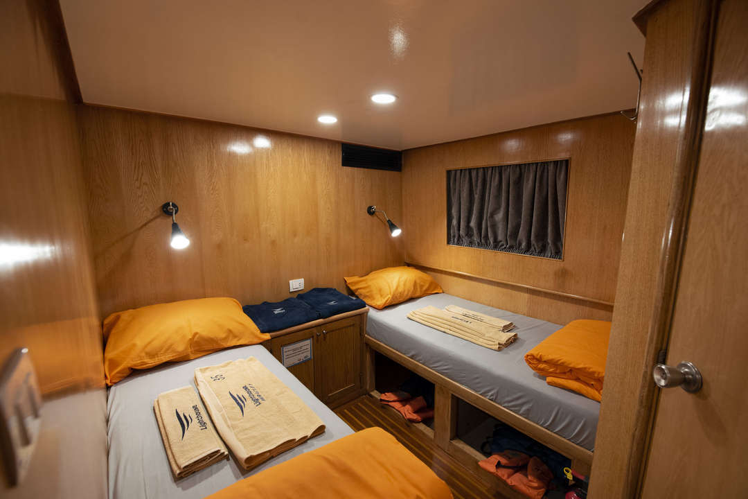 #twincabin