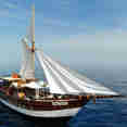 Amaya Explorer