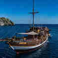 Amaya Explorer