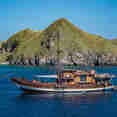 Amaya Explorer