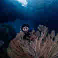 Diving