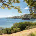 Landscape view