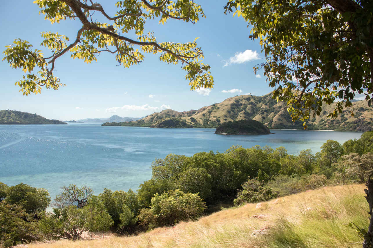 Landscape view