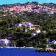 Scenic View