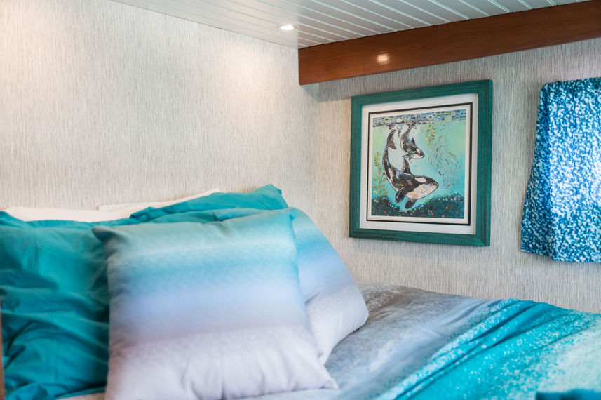 Cabine - Lady of the Sea Adventures