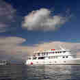 Jardines Avalon Fleet 1