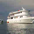 Jardines Avalon Fleet 1