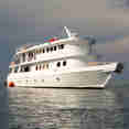 Jardines Avalon Fleet 1