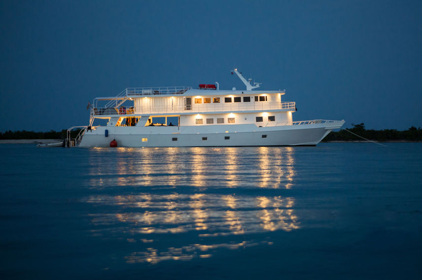 Jardines Avalon Fleet 1