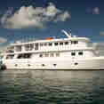 Jardines Avalon Fleet 1
