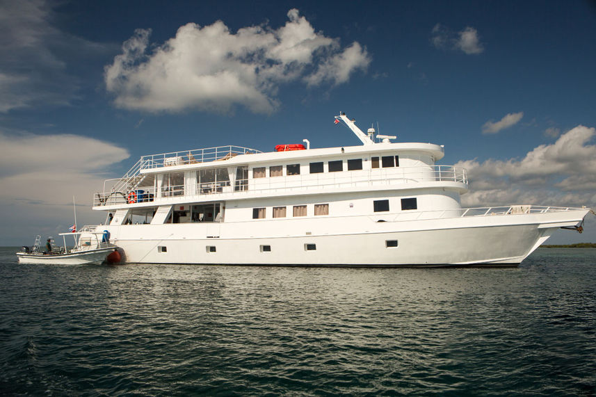 Jardines Avalon Fleet 1