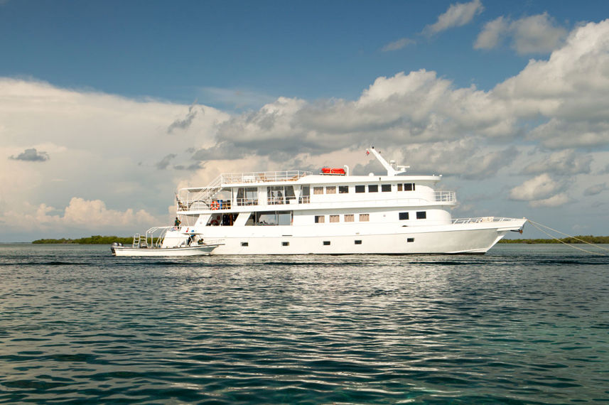 Jardines Avalon Fleet 1