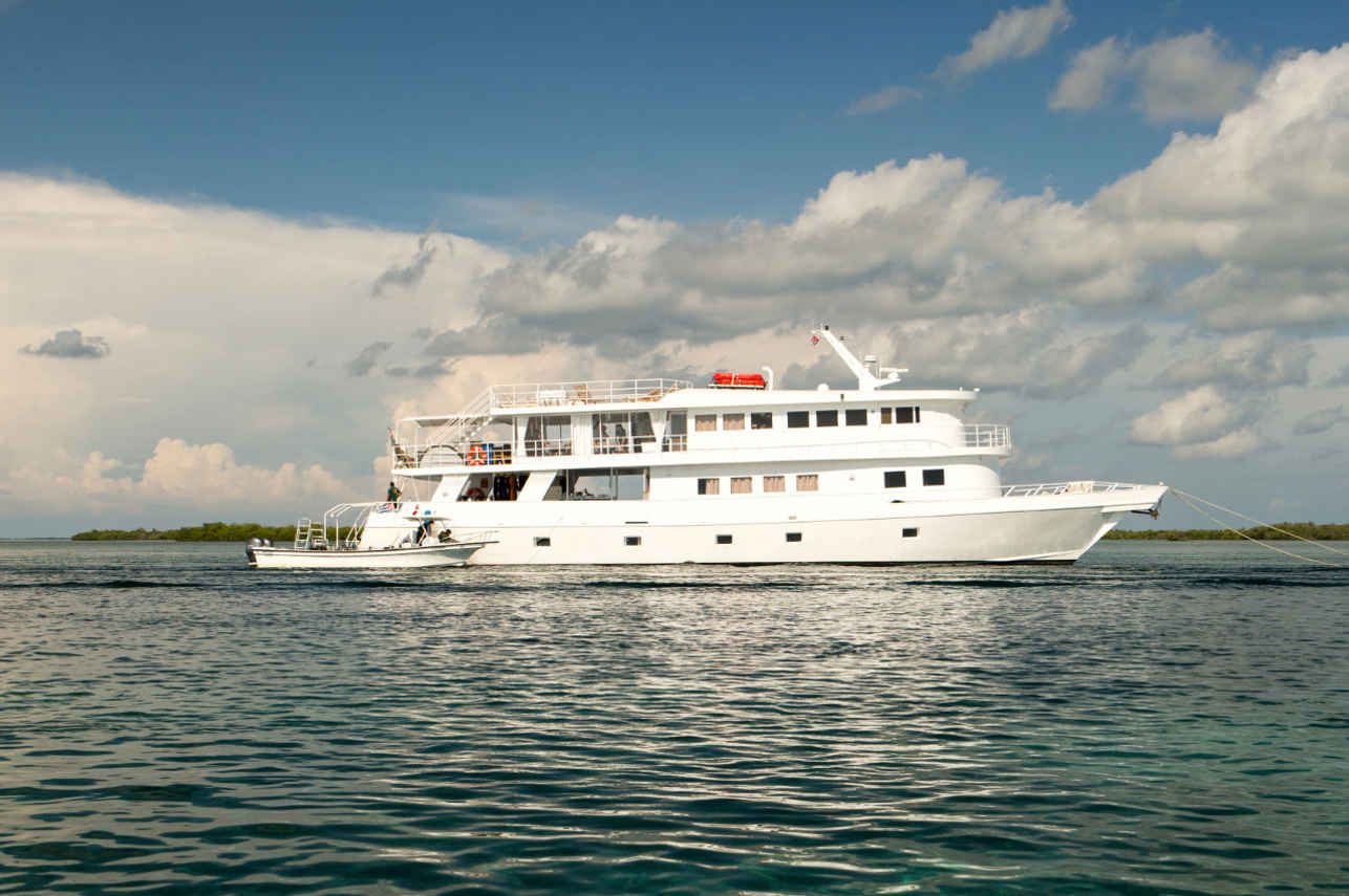 Jardines Avalon Fleet 1