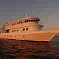 Jardines Avalon Fleet 1