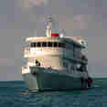 Jardines Avalon Fleet 1