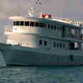 Jardines Avalon Fleet 1