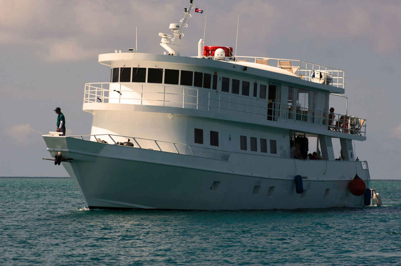 Jardines Avalon Fleet 1