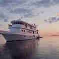 Jardines Avalon Fleet 1