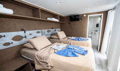 Suite Cabins