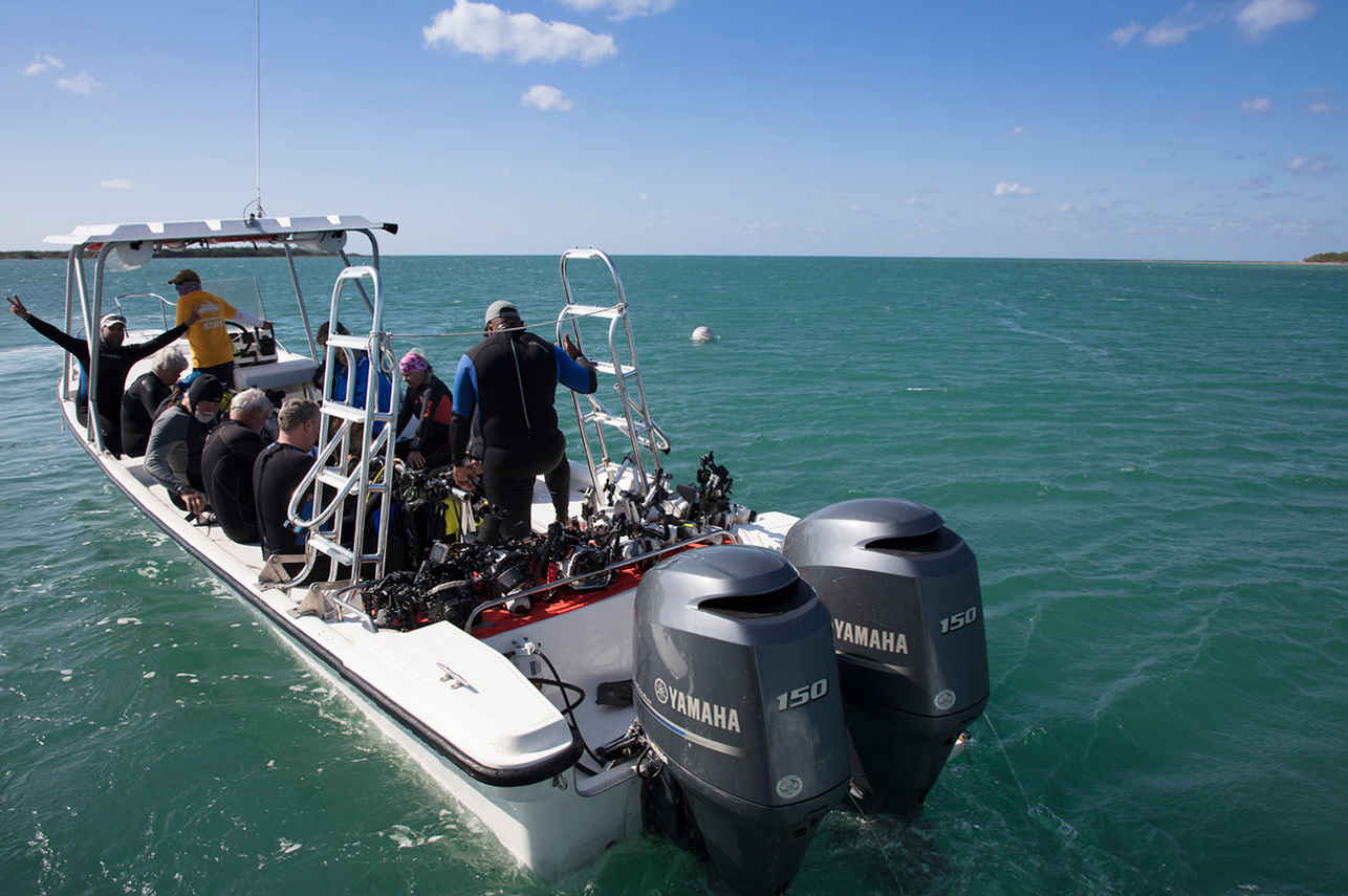 #tenderfordiving - Jardines Avalon Fleet 2