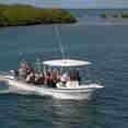 #tenderfordiving - Jardines Avalon Fleet 2