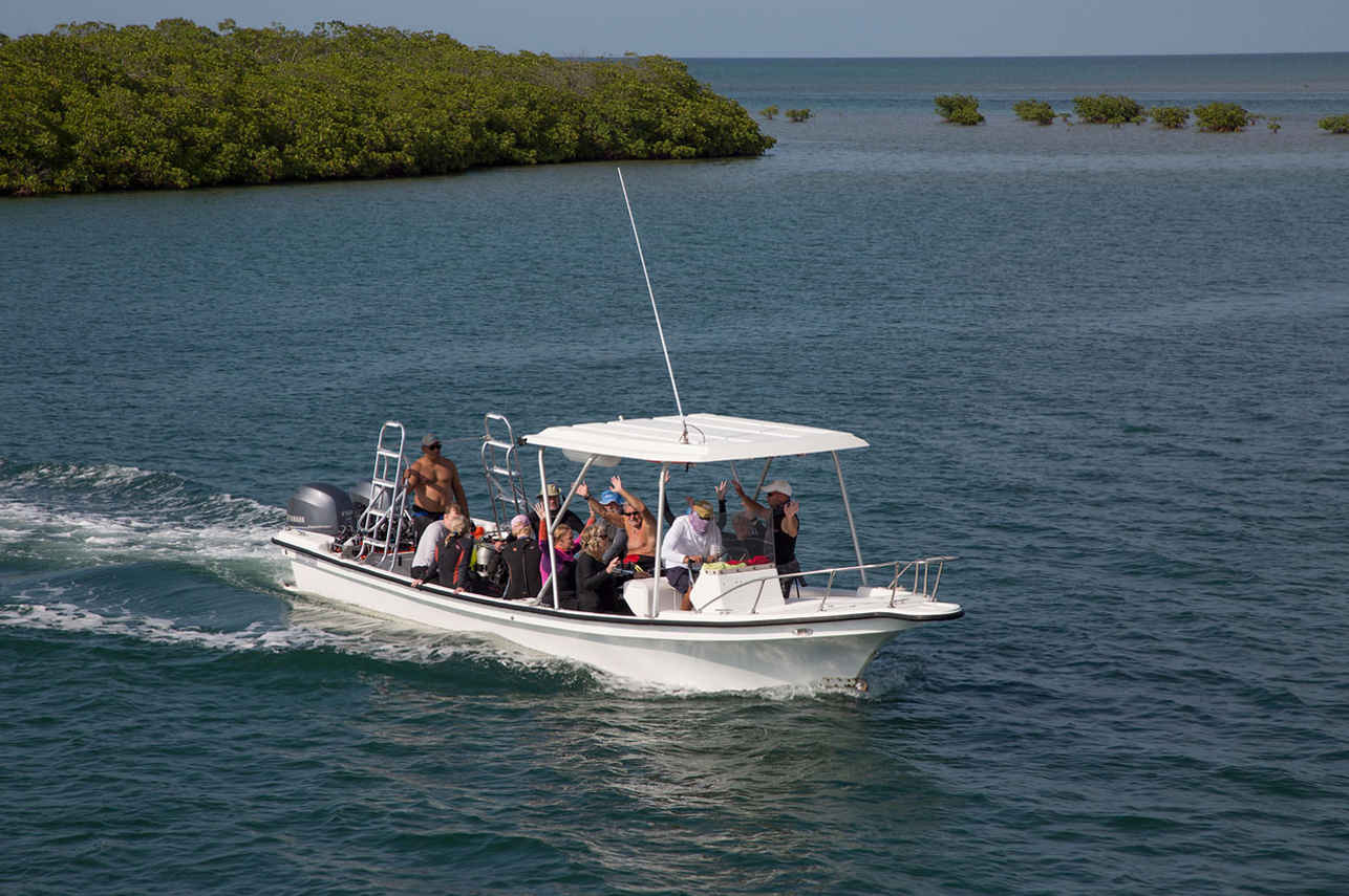 #tenderfordiving - Jardines Avalon Fleet 2